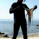 ���������� ������, ���� ������� ALEX, 46 ���, ������������ ��� ������