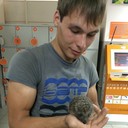 ���������� ������, ���� ������� ������, 36 ���, ������������ ��� ������, ����� � ���������, c�������� ���������