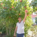 ���������� ��������, ���� ������� �����, 45 ���, ������������ ��� ������, ����� � ���������, c�������� ���������