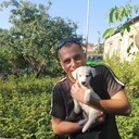 ���������� �����������, ���� ������� ����, 33 ����, ������������ ��� ������, ����� � ���������