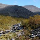 ���������� ����, ���� ������� �����, 39 ���, ������������ 