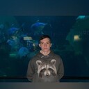 ���������� ������, ���� ����� ��������, 22 ����, ������������ ��� ������, ����� � ���������, c�������� ���������