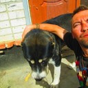 ���������� ���������, ���� ������� Denis, 45 ���, ������������ ��� ������, ����� � ���������, c�������� ���������