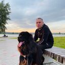 ���������� ����������, ���� ������� ��������, 40 ���, ������������ 