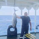 ���������� Tepecik, ���� ������� ����, 99 ���, ������������ ��� ������, ����� � ���������