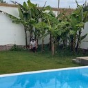 ���������� �����������, ���� ������� ������, 36 ���, ������������ ��� ������, ����� � ���������