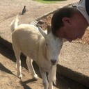 ���������� ������, ���� ������� �����, 42 ����, ������������ ��� ������, ����� � ���������, c�������� ���������