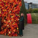 ���������� ������, ���� ������� �����, 44 ����, ������������ ��� ����� � ���������, c�������� ���������