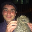 ���������� �����������, ���� ������� �������, 42 ����, ������������ ��� ������, ����� � ���������, c�������� ���������