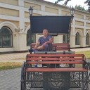 ���������� �����, ���� ������� ������, 41 ���, ������������ ��� ������, ����� � ���������, c�������� ���������, ���������