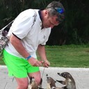 ���������� ������ ��������, ���� ������� ����, 45 ���, ������������ ��� ������, ����� � ���������, c�������� ���������, ���������