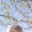  ,   , 53 ,   c 