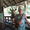 ���������� �����, ���� ������� ���������, 60 ���, ������������ 