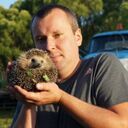 ���������� ������, ���� ������� ���������, 48 ���, ������������ ��� ����� � ���������, c�������� ���������