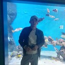 ���������� ������, ���� ������� ��������, 29 ���, ������������ ��� ������, ����� � ���������