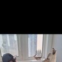 ���������� ������, ���� ������� �����, 38 ���, ������������ ��� ������, ����� � ���������, c�������� ���������