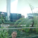 ���������� ���������, ���� ������� ���, 51 ���, ������������ ��� ������, ����� � ���������, c�������� ���������