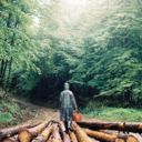  ,   Angel smerti, 44 ,   