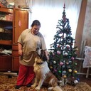 ���������� ���������, ���� ������� ��������, 47 ���, ������������ ��� c�������� ���������, ���������