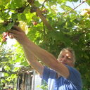 ���������� �������, ���� ������� ���������, 58 ���, ������������ ��� ������, ����� � ���������