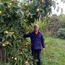 ���������� ������������, ���� ������� ������, 58 ���, ������������ ��� ������, ����� � ���������