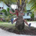 ���������� �����, ���� ������� ����, 50 ���, ������������ ��� ������