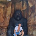 ���������� ��������, ���� ������� ������, 38 ���, ������������ ��� ������, ����� � ���������, c�������� ���������