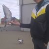  ,   , 32 ,   ,   , c 