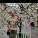  ,   , 56 ,   ,   
