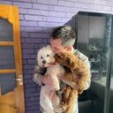 ���������� ������, ���� ������� �����, 31 ���, ������������ ��� ������, ����� � ���������