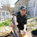 ���������� �����������, ���� ������� �����, 33 ����, ������������ ��� ������, ����� � ���������