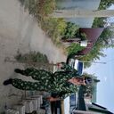  ,   , 98 ,   ,   , c 