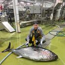  ,   Yury, 39 ,   ,   , c 