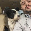 ���������� �����-���������, ���� ������� �����, 41 ���, ������������ ��� ������, ����� � ���������