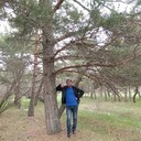  ,   Norayr, 33 ,   ,   , c 