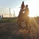 ���������� ���������, ���� ������� ���������, 28 ���, ������������ ��� ����� � ���������, c�������� ���������