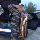 ,   , 54 ,   