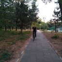  ,   , 42 ,   ,   