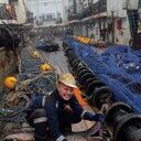 ���������� ������-��-����, ���� ����� ���, 22 ����, ������������ ��� ����� � ���������, c�������� ���������