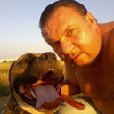  ,   , 54 ,   