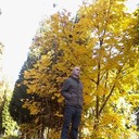 ���������� ����, ���� ������� ���������, 48 ���, ������������ ��� ������, ����� � ���������, c�������� ���������