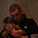 ���������� ����, ���� ������� ��������, 38 ���, ������������ ��� ������, ���������