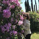 ���������� ���������, ���� ������� ����, 28 ���, ������������ ��� ������, ����� � ���������, c�������� ���������, ���������