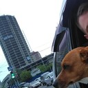 ���������� �����������, ���� ������� ���, 30 ���, ������������ ��� ����� � ���������, c�������� ���������