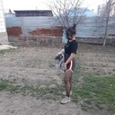 ���������� ������, ���� ������� ������, 24 ����, ������������ ��� ������, ����� � ���������, c�������� ���������