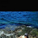 ���������� �����������, ���� ������� �������, 44 ����, ������������ ��� ������, ����� � ���������, ���������