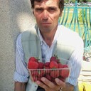  -,   , 52 ,   ,   , c 