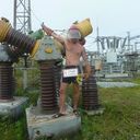 ���������� �����������, ���� ������� ������, 43 ����, ������������ ��� ������, ����� � ���������, c�������� ���������