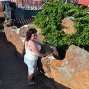  --,   , 47 ,   ,   , c , 