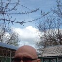  ,   , 53 ,   ,   , c , 